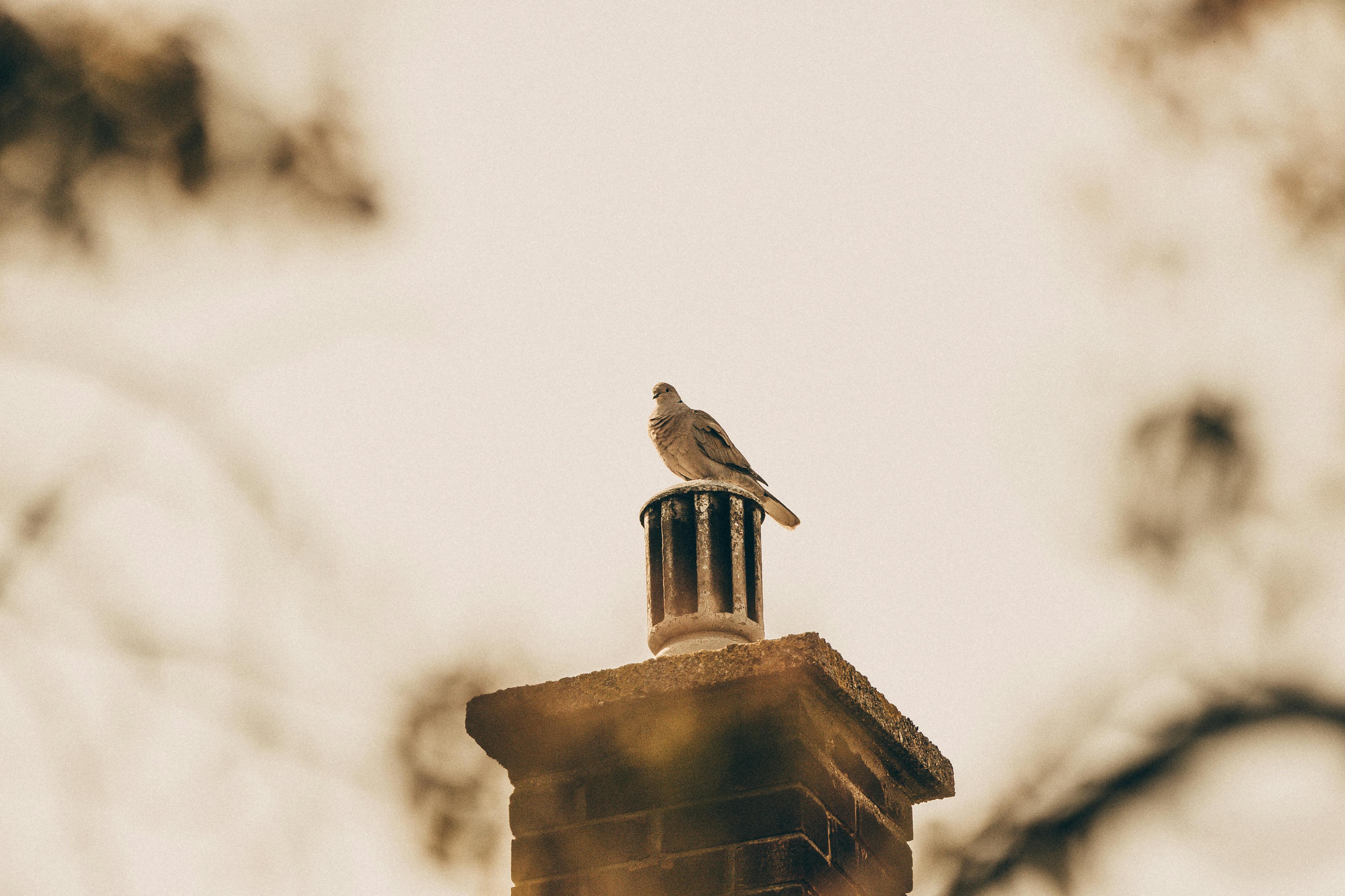 Quality Chimney Caps and Dampers Installation in Waterford, MI Professional Chimney Cap and Damper In Waterford Michigan